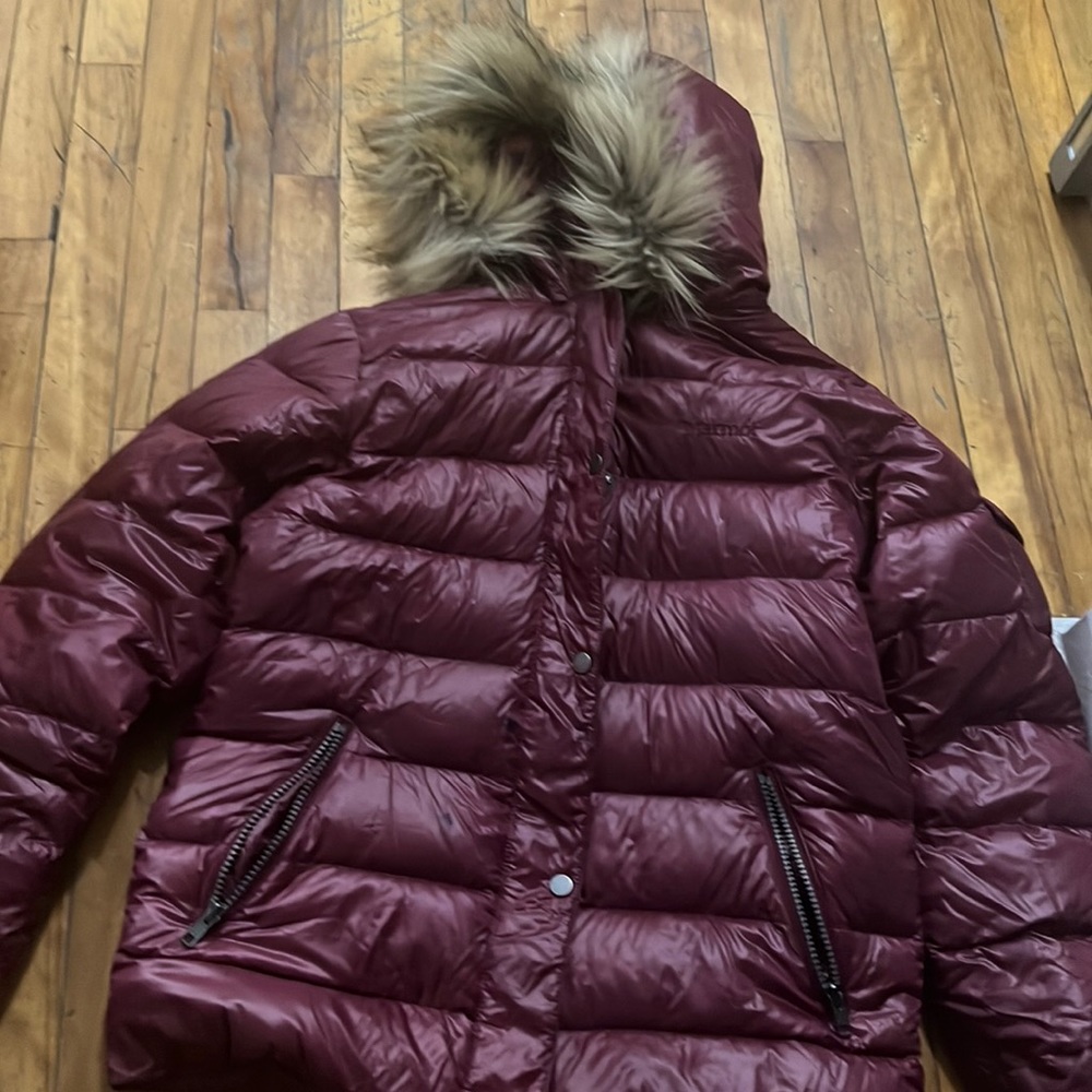Girls marmot